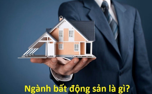 Nghề bất động sản là gì