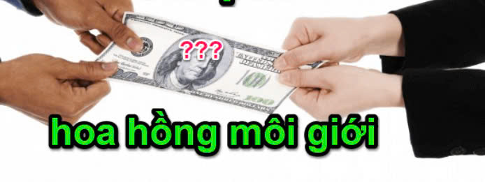 Hoa hồng môi giới đất