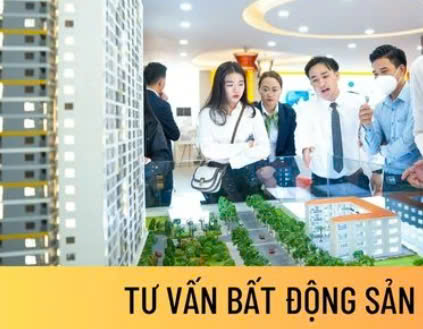 Học tư vấn bất động sản