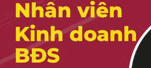 Nhân viên kinh doanh bđs