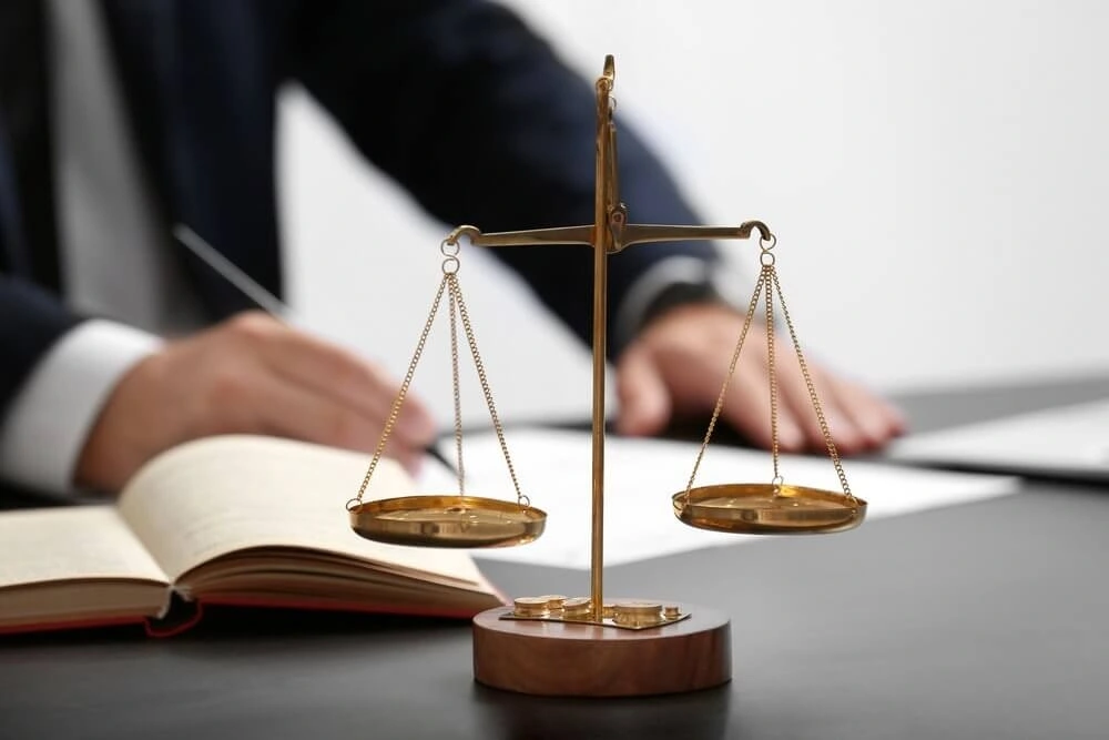 Kiểm tra giấy phép hoạt động