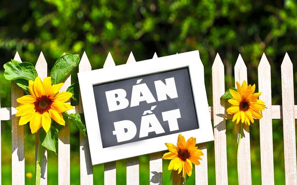 Rao Bán Đất Hay